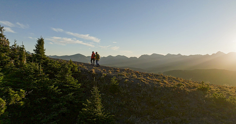 Künstliches Gelenk | agile+® | Rosenklinik Rapperswil