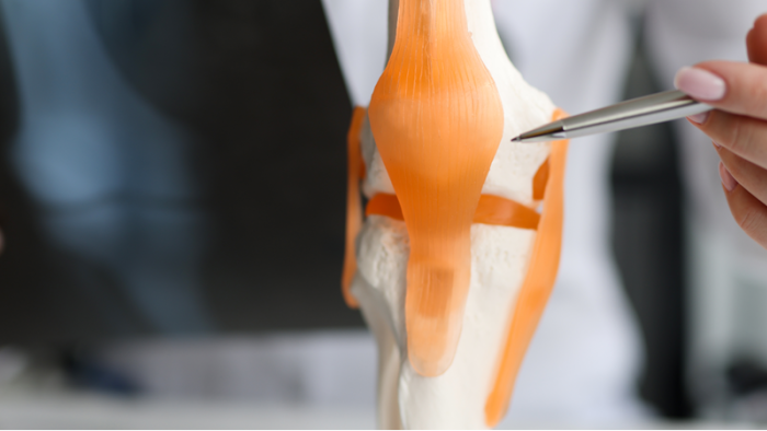 Knieschmerzen beim Sport: Was ist zu tun, wenn das Knie schmerzt? Knieschmerzen beim Sport: Was ist zu tun, wenn das Knie schmerzt?