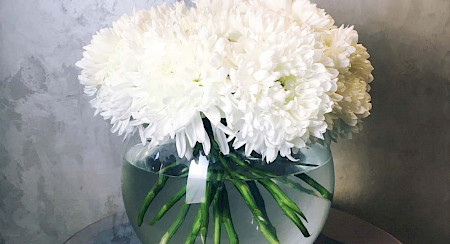 Klinikeintritt | Rosenklinik Rapperswil